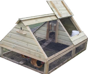 hens chickens poultry arks hatching eggs for sale devon and cornwall